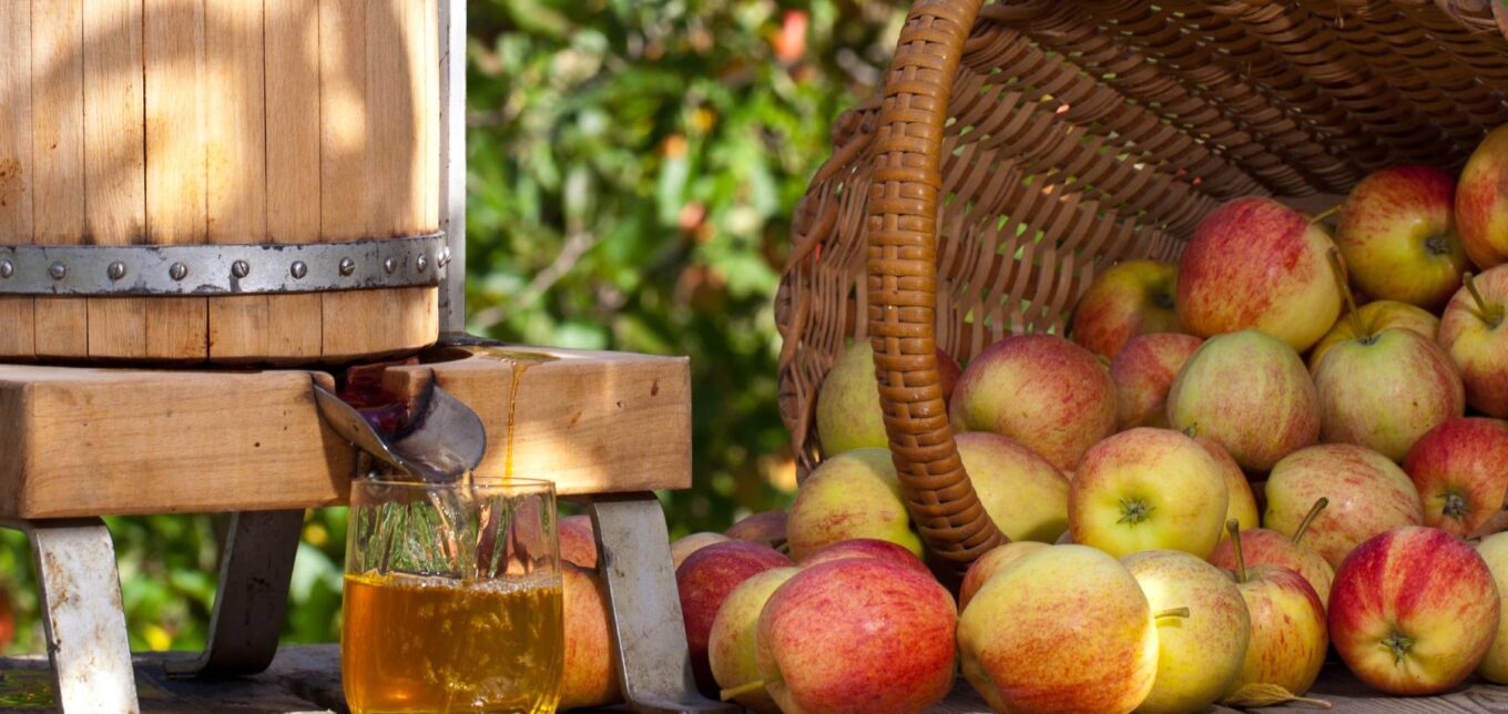 How to Make Cider from Apples – Mother Earth News - Vimarsana News